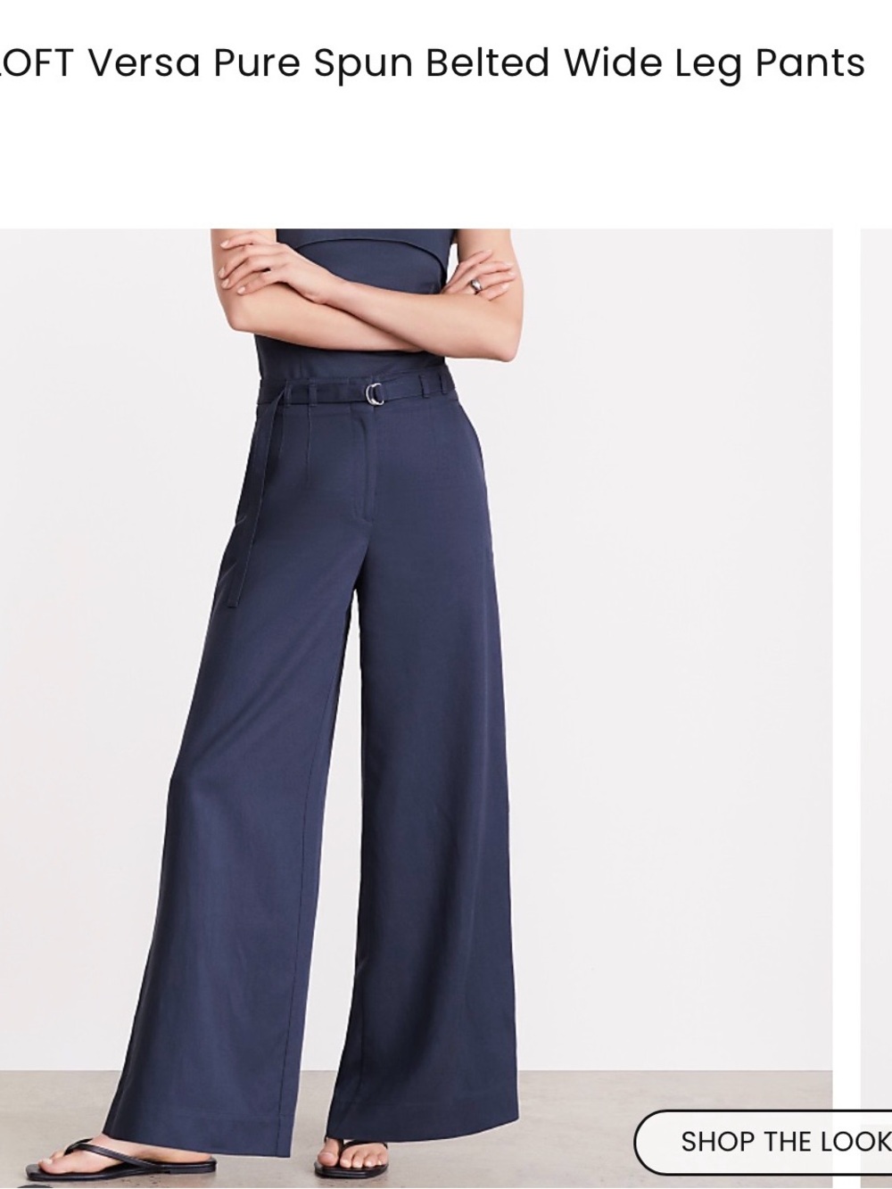 LOFT Navy Wide-Leg Pants